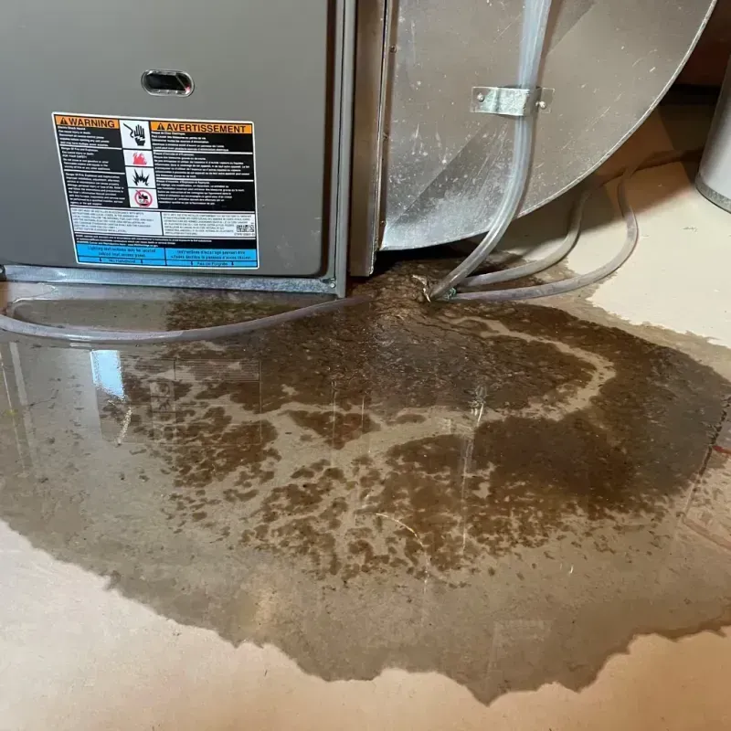 Appliance Leak Cleanup in Union, OR